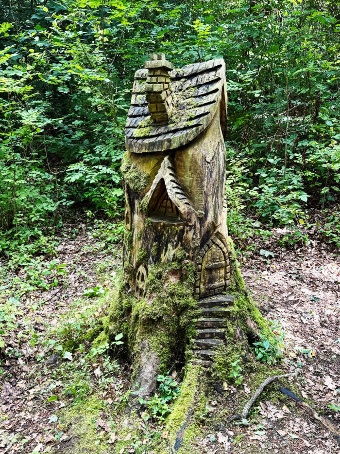 Tree house carving