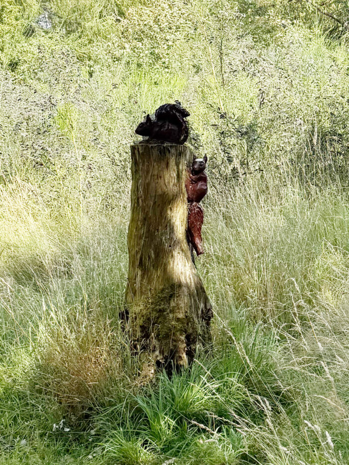 squirrels in a tree stump